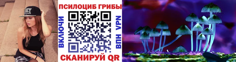 Псилоцибиновые грибы ЛСД  Купить закладки  Кыштым 